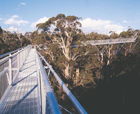 Walpole WA Sydney Tourism