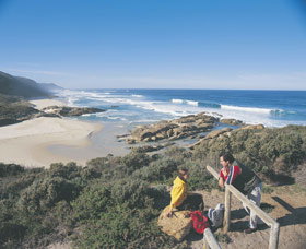 Lights Beach - Sydney Tourism 0