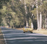 Ludlow Tuart Forest - Sydney Tourism