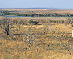 Marglu Billabong - Sydney Tourism 0