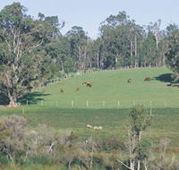 Scenic Drives - Bunbury Collie Donnybrook