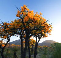 Cape Le Grand National Park
