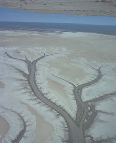 Tidal Flats - Sydney Tourism 0