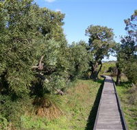 Kepwari Trails Wetland Wonderland