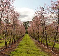 Raeburn Orchards - Sydney Tourism