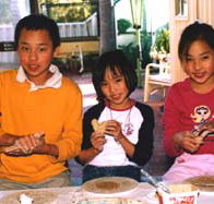 Peel Pottery - Sydney Tourism