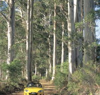 Scotsdale Tourist Drive - Sydney Tourism