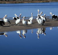 Peel Region Canoe Trails - Sydney Tourism