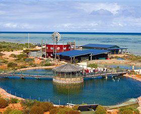 Ocean Park Aquarium - Sydney Tourism 0