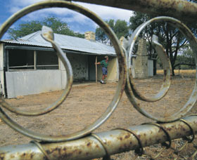 Waeel WA Sydney Tourism