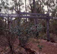 Marrinup Trail Dwellingup - Sydney Tourism