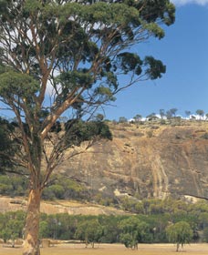 Cubbine WA Sydney Tourism