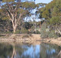 Merredin Railway Dam - Sydney Tourism