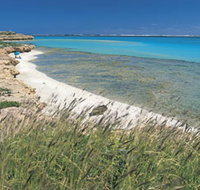 Paradise Beach - Sydney Tourism