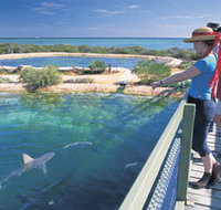 Shark Bay Marine Park - Sydney Tourism