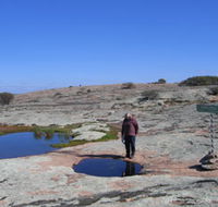 Dingo Rock - Sydney Tourism