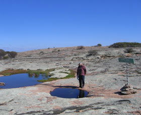 Dingo Rock - Sydney Tourism 0