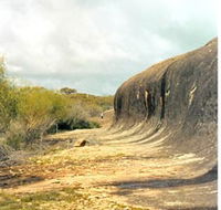 Totadgin Dam Reserve - Sydney Tourism
