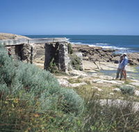 Water Wheel