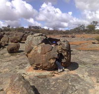 Gathercole Nature Reserve - Sydney Tourism