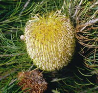 FR Berry Reserve - Sydney Tourism