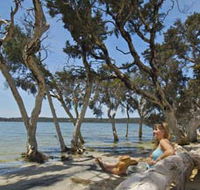Stokes National Park
