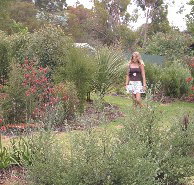 The Mythic Mazes - Sydney Tourism