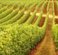 Xanadu Wines - Sydney Tourism