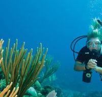 Coastal Water Dive