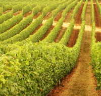 MadFish Wines Denmark - Sydney Tourism