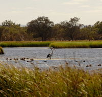 Anytime Adventures in Mandurah  the Peel Region - Sydney Tourism