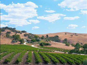 Bethany Wines - Sydney Tourism 0
