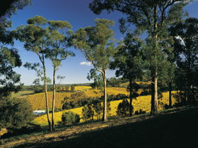Lobethal SA Sydney Tourism