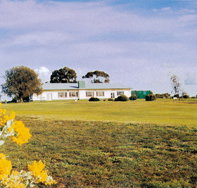 Lucindale Country Club - Sydney Tourism