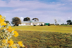 Lucindale Country Club - Sydney Tourism 0