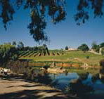 Mount Hurtle Winery home of Geoff Merrill Wines - Sydney Tourism
