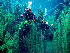 Mingbool SA Sydney Tourism