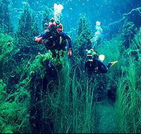 Ewens Ponds Conservation Park - Sydney Tourism
