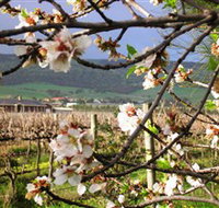 Cradle of Hills McLaren Vale Winery - Sydney Tourism