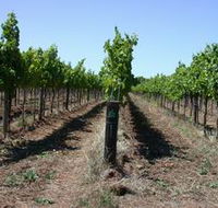 Temple Bruer Winery - Sydney Tourism