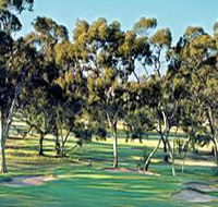 Tanunda Pines Golf Club - Sydney Tourism