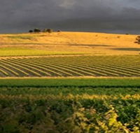 Kellermeister Wines