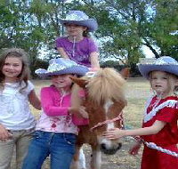 Amberainbow Pony Rides - Sydney Tourism