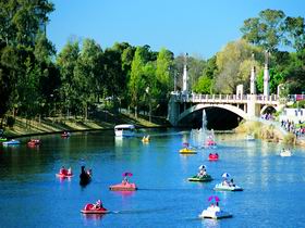 Captain Jolleys Paddle Boats - Sydney Tourism 0