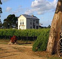 Highbank Vineyards - Sydney Tourism
