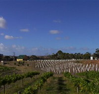 Deep Creek Wines and Alpacas - Sydney Tourism