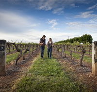 Coonawarra Wineries Walking Trail - Sydney Tourism
