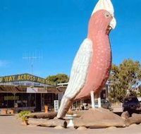The Big Galah