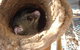 Mulga Sanctuary And Wildlife Park - thumb 0