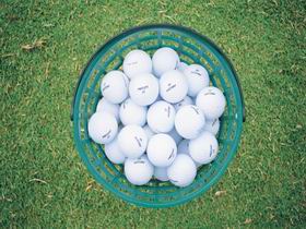 Murray Bridge Golf Club - Sydney Tourism 0